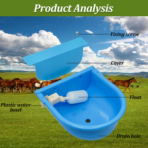 <span class=keywords><strong>Abreuvoir</strong></span> automatique en <span class=keywords><strong>plastique</strong></span> pour vaches, équipement d'élevage, <span class=keywords><strong>abreuvoir</strong></span> pour bétail - Product Image 6