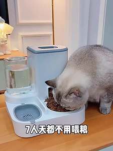 Gamelle pour chat et chien, distributeur automatique de nourriture pour animaux de compagnie, double gamelle intégrée pour l'eau potable - Product Image 6