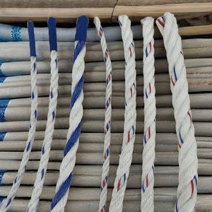 Cuerda de Polipropileno Danline de 4mm-60mm, Cuerda Marina de 3 Hilos, Cuerda de Polipropileno, Venta Caliente 2026 - Product Image 1