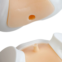 Falso paciente de entrenamiento para ultrasonido prostático con sonda convexa transrectal compatible con recto, vejiga y vesícula seminal para biopsia