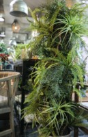 Ensemble de Faux Succulent séchés, 7 pièces, styles différents