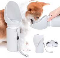 Bouteille d'eau pliable portable en silicone de 550 ml pour chien, conforme aux normes FDA, pour l'extérieur, distributeur d'eau pour animaux de compagnie, gamelles et mangeoires pour chiens