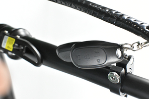 Completa bicicleta gorda montaña plegado bicicleta eléctrica con batería reemplazable - Product Image 5