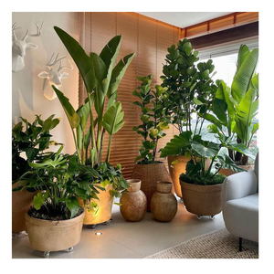 Grandes plantes artificielles tropicales de 1,20 m (2 pièces) – Faux palmiers en plastique au toucher réel pour la décoration de la maison et du jardin - Product Image 3