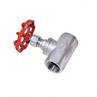 Válvula de Aguja Manual de Acero Inoxidable 304 al por Mayor, DN15 a DN50, para Control de Flujo Fino, ODM OEM Personalizada, 1 Año de Garantía