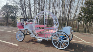 Chariot de mariage élégant en acier, modèle citrouille évidée, pour amoureux, traîné par des chevaux - Product Image 3