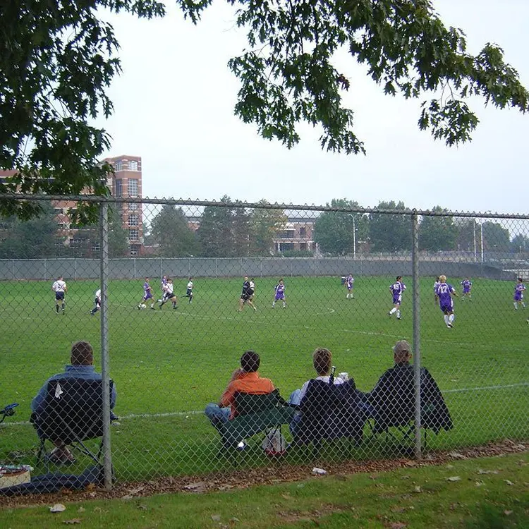 Dingzhou logam bintang lima 0.25mm 0.28mm karbon rendah kawat besi Tautan rantai pagar berat per meter untuk lapangan sepak bola