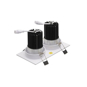 Có thể điều chỉnh đôi vuông <span class=keywords><strong>Led</strong></span> <span class=keywords><strong>Downlight</strong></span> 2*10 Wát đôi lõm hình chữ nhật <span class=keywords><strong>Led</strong></span> <span class=keywords><strong>Downlight</strong></span> Double-headed <span class=keywords><strong>Led</strong></span> <span class=keywords><strong>Downlight</strong></span> - Product Image 3
