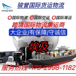 Fret maritime, fret aérien, livraison express, ligne dédiée Égypte, consolidation de conteneurs, expédition internationale - Product Image 5