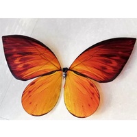 Nouvelle Lampe LED Magique Portable 2026 - Papillon Drone à Ailes Simulées Réalistes pour Mariages et Fêtes
