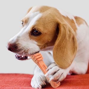 ของเล่นสำหรับสุนัขสัตว์เลี้ยงเคี้ยวกระดูกรักษารสชาติของเนื้อสุนัขของเล่นรูปทรงกระดูกฟันฝึกอาหารสุนัขเคี้ยวกระดูก - Product Image 5