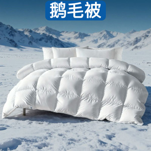 <span class=keywords><strong>Couette</strong></span> en <span class=keywords><strong>duvet</strong></span> de canard blanc, épaisse, pour l'hiver, avec housse 100% coton, literie matelassée en coton pour la maison et l'hôtel - Product Image 5
