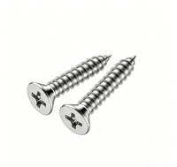 Vis autotaraudeuses à tête fraisée Phillips en acier inoxydable 304/201 pour bois et métal, bon prix