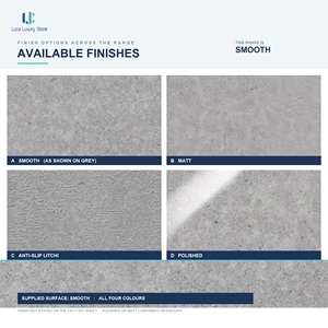 Baldosa de Porcelana Luca <span class=keywords><strong>Coquina</strong></span> Shell Stone |   Acabado de piedra con textura de concha descascarillada para rompevientos de muelles y pavimentación costera ODM OEM - Product Image 5