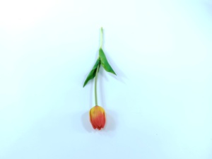 Tulipanes Artificiales de Alta Calidad, Realistas al Tacto, Hechos a Mano, para Decoración del Hogar y Bodas, Alta Realidad para Graduaciones - Product Image 5