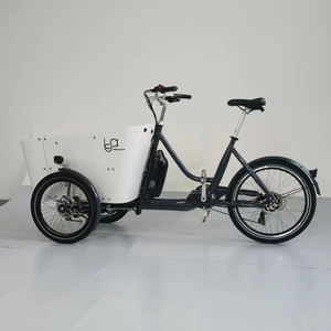 <span class=keywords><strong>Vélo</strong></span> <span class=keywords><strong>Cargo</strong></span> électrique à trois roues à Suspension complète, à entraînement central, à vendre - Product Image 3