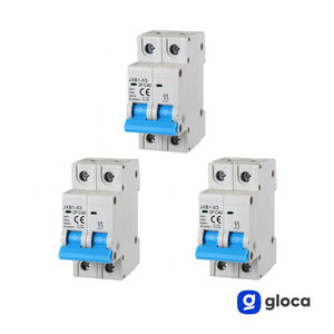 Interruptor Automático en Caja Moldeada Gloca JXB1-63 2P 40A 220V 6kA Térmico Magnético 50Hz Montaje en Riel DIN - Product Image 3