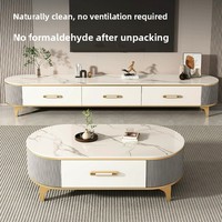 2025 maison Table basse meuble TV ensemble lumière luxe haut de gamme ardoise Simple Design moderne pour petit salon meubles pour la maison