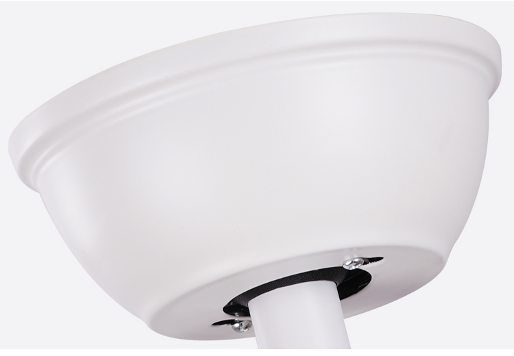 Breezelux fans with lamp