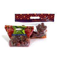 Sac gonflable d'emballage de raisin en plastique personnalisé sac en plastique debout en forme de fruit de raisin cerise refermable sac en plastique Ziplock sac de guichet supérieur