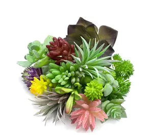 좋은 품질 시뮬레이션 Succulents 플라스틱 고기 식물