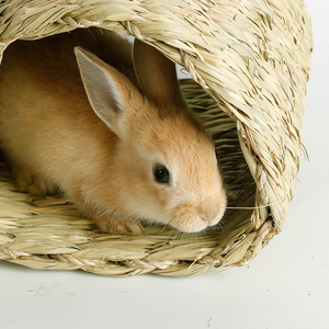 Caja transpirable para animales pequeños, cama, escondite de hierba, túnel para masticar, Centro de Actividades, nido, hámster, conejillo de indias, lugar para esconderse - Product Image 2