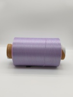 Filament de Nylon 6 teint à 100 %, motif haute ténacité, pour machine à coudre, fibre pour reliure de vêtements