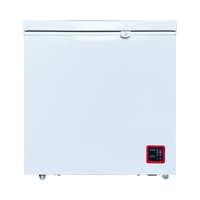 Congélateur commercial de 150 l, mini capacité, congélateur horizontal à ouverture par le haut, congélateur à ouverture par le haut