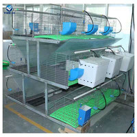 Meilleure Vente Cage à Lapins Économique avec Bacs en Plastique / Cages à Lapins à Deux Étages à Vendre (Usine)