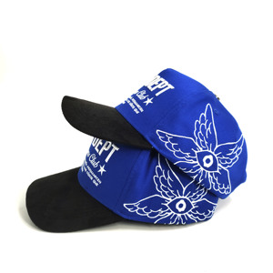 卸売独自のロゴ5パネルGorrasハイクラウン野球帽子湾曲したブリムブラックスエードPVCタグメタルトップボタンキャップ - Product Image 4