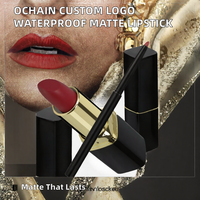 OCHAIN Personnalisez votre logo Crème Minérale Tendance Longue Tenue Imperméable Hydratante Végane Rouge à Lèvres Mat Kits Lèvres Crayon à Lèvres