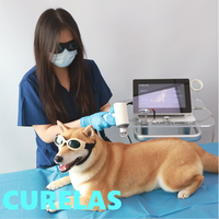 Équipement de thérapie laser vétérinaire pour chats 810/980/1064nm, appareil laser précis pour soulager la douleur et favoriser une guérison rapide, pour usage en clinique vétérinaire.