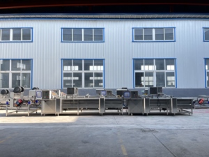 Linea Automatica per la Produzione di Larve di Mosca Soldato Nera (BSF) con Separazione, Essiccazione e Lavorazione Completa - Product Image 2
