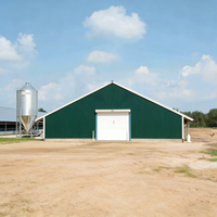 Poulailler économique en structure métallique, hangar préfabriqué pour bétail, élevage avicole à grande échelle
