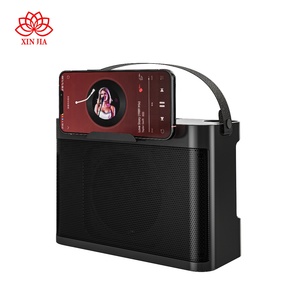 เครื่องคาราโอเกะพกพา รุ่นคลาสสิค PA สำหรับงานปาร์ตี้ที่บ้าน ขายส่ง รับผลิตแบบ OEM ODM รุ่น A923 <span class=keywords><strong>ลำโพง</strong></span>บลูทูธไร้สาย พร้อมไมโครโฟนคู่ - Product Image 5