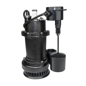 0.75HP Home-use High Quality Professional Cast Iron Sump Pumps with Vertical <b>Switch</b> - Product Image 1