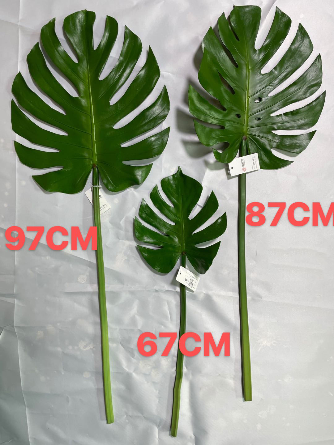 87cm