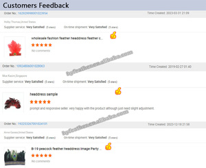 HY ريشة كرنفال حزب الأم Oem كيفية جعل - Product Image 3