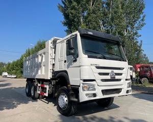 HOWO 6x4 autocarro con cassone ribaltabile a 10 ruote da uomo motore Diesel costruzione mineraria autocarro con cassone ribaltabile per la vendita - Product Image 3