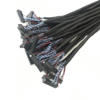 Kabel Lvds Kustom 30 Pin ke 20 Pin Kabel Panel Layar Lcd Wiring Harness