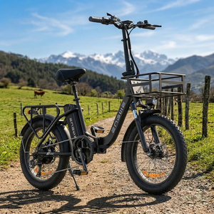 Bicicleta Eléctrica Urbana Plegable Engwe L20 SE 250W 20 Pulgadas 561Wh 36V con Cuadro Bajo, Lista para Envío desde Almacén en la UE - Product Image 1