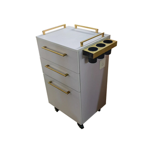 2023 Latest High Quality Heavy Duty White&Gold Barber Cabinet Salon Trolley Storage Cabinet 10 Years Warranty