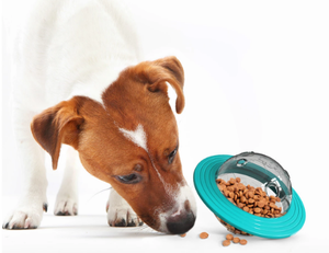 Köpek oyuncak IQ tedavi topu gıda dağıtım köpek bulmaca oyuncak için küçük orta oynayan köpekler Chasing çiğneme - Product Image 4