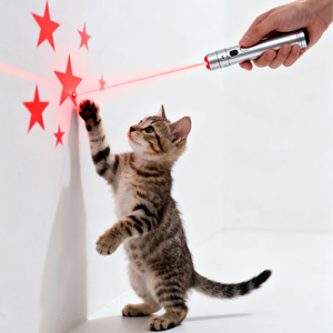 Le <span class=keywords><strong>Bon</strong></span> Model 180 Laser Cat Teaser USB Rechargeable Eco-friendly Stainless Steel Infrared Wand Solid Pet Toy Interactive - Product Image 1