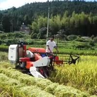 Désherbeuse à riz à 2 rangs et 3 rangs avec moteur à essence, désherbeuse à riz avec moteur à essence, machine à désherber pour riz