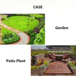 Engrais pour plantes en pot <span class=keywords><strong>de</strong></span> jardin, <span class=keywords><strong>terreau</strong></span> nutritif au meilleur prix pour la culture universelle, <span class=keywords><strong>terreau</strong></span> organique respirant pour les légumes - Product Image 6