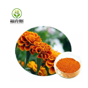 Nhà máy cung cấp trực tiếp Bán hàng nóng tagetes erecta chiết xuất 5% <span class=keywords><strong>Lutein</strong></span> phi Cúc Vạn Thọ chiết xuất - Product Image 2