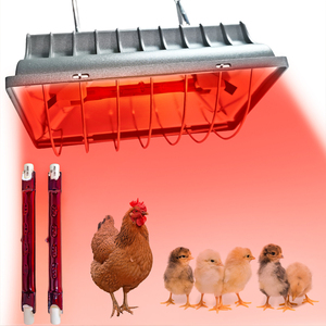 Lámpara <span class=keywords><strong>de</strong></span> Calor Cuadrada Ajustable <span class=keywords><strong>de</strong></span> Vidrio para Mascotas y Aves <span class=keywords><strong>de</strong></span> Corral, <span class=keywords><strong>Calentador</strong></span> para Criaderos Durante Todo el Año, para Gallineros, Reptiles y Animales Pequeños - Product Image 2