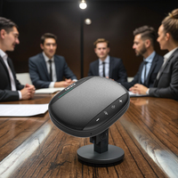 Portable Mini Microphone À Condensateur Haut-Parleur Léger USB Type C Omni-directionnel Salle De Conférence Réunion Micro Filaire En Plastique