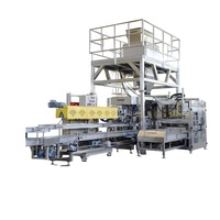 Machine d'emballage entièrement automatique pour sacs en papier kraft pour sel et sucre de 25 kg et 50 kg